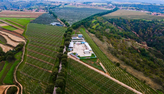 【國企改革深化提升行動(dòng)】守正創(chuàng)新 精業(yè)篤行 在聚焦高質(zhì)量發(fā)展中全面提升董事會建設(shè)運(yùn)行水平