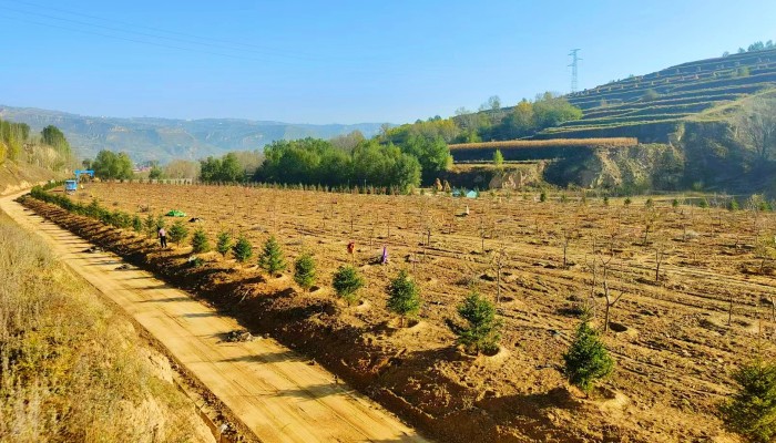 和政縣垃圾填埋場封場工程順利推進(jìn)