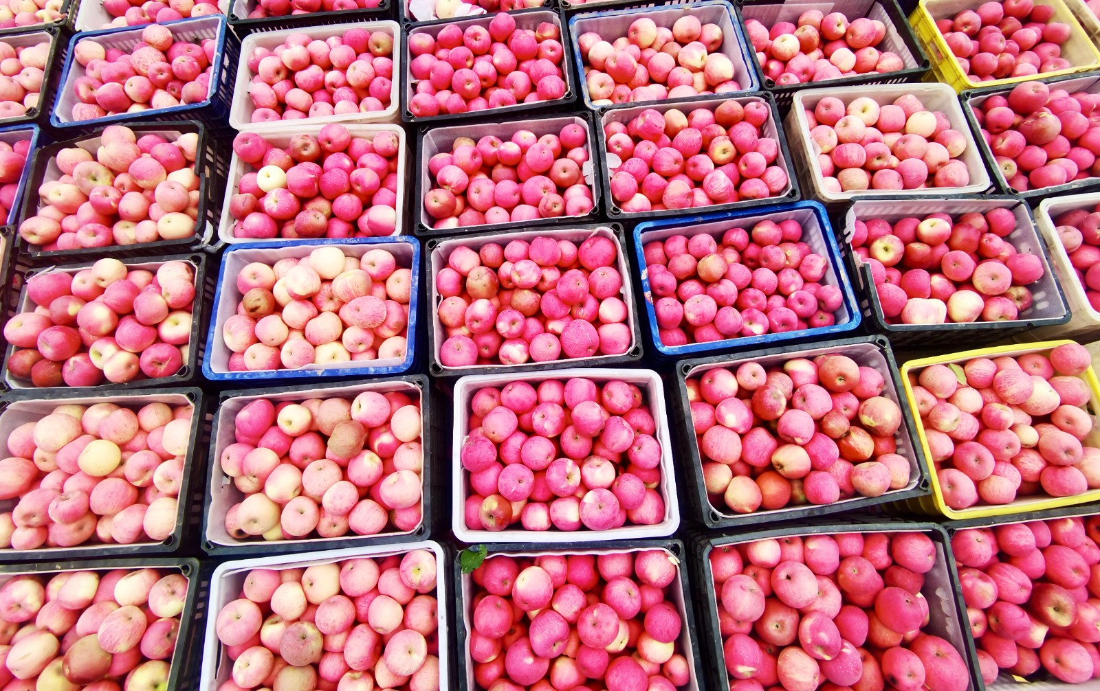 修圖1.jpg 修圖1.jpg